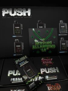 push 2g disposable with sceen