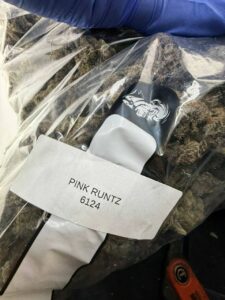 Pink Runtz 6124 pink runtz 6124