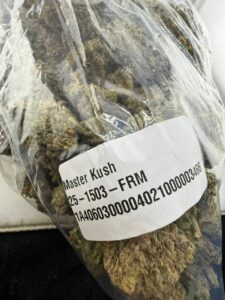 Master Kush master kush