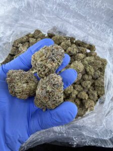 Master Kush master kush