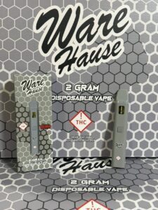 Ware Hause 2G Disposable ware house 2g disposable