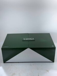 luigi v8 2g disposable green box