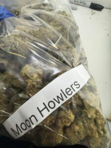 moon howlers strain
