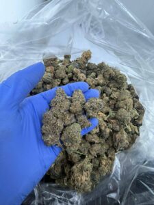moon howlers strain