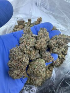 moon howlers strain