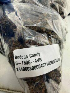 Bodega Candy Strain bodega candy strain