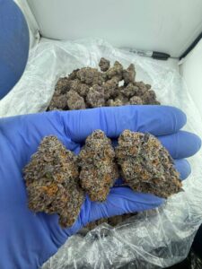 Bodega Candy Strain bodega candy strain