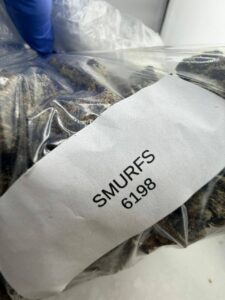 Smurfs Strain smurfs strain