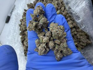 exotic candy strain