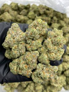 platinum lemonheadz strain