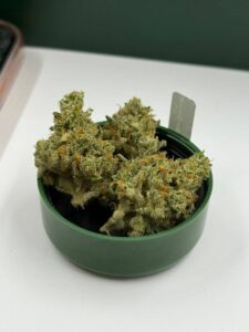 CBX Kush Mountains cbx kush mountains