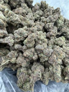 Pink Star Burst Strain pink star burst strain