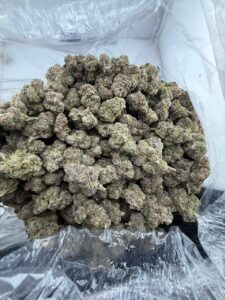 Galactic Warheadz galactic warheadz