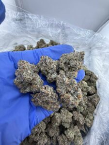 Super Runtz Strain super runtz strain