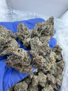 Super Runtz Strain super runtz strain