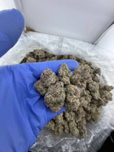 obama runtz strain