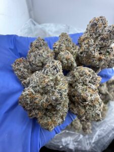 obama runtz strain