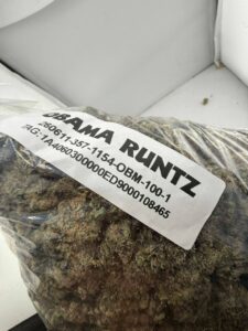obama runtz strain