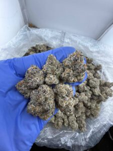 obama runtz strain