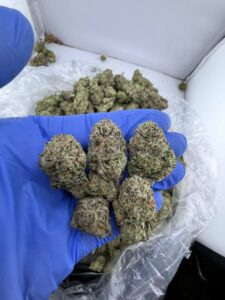 hash burger strain
