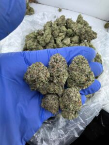 hash burger strain