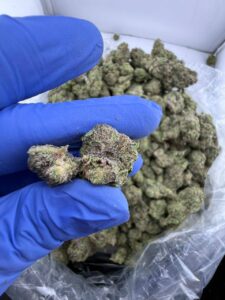 hash burger strain