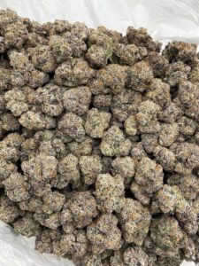 party popperz strain