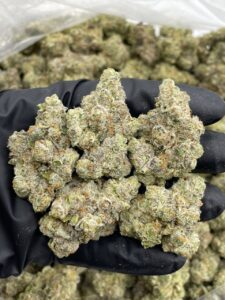 Blue Cream Soda Strain blue cream soda strain
