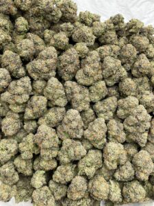 Frosted Flakes Strain frosted flakes strain