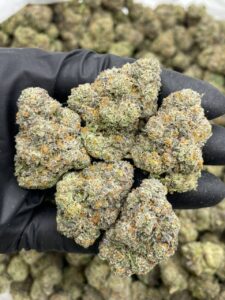 Frosted Flakes Strain frosted flakes strain