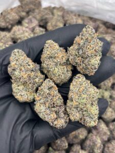 Crypto Funk Strain crypto funk strain