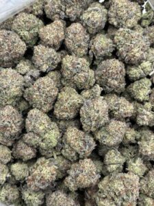 Animal Crackers Strain animal crackers strain