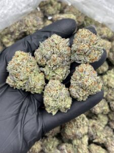 Animal Crackers Strain animal crackers strain