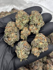 Rainbow Popperz Strain rainbow popperz strain