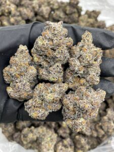 black cherry sharpie strain