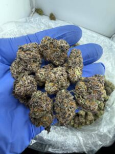 grape gushers strain