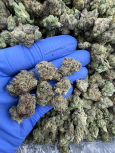 White Runtz Strain white runtz strain