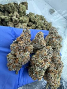 glitter bomb strain
