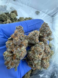 glitter bomb strain