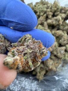 glitter bomb strain