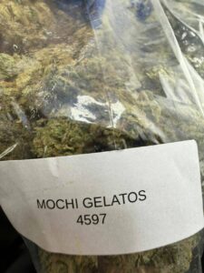 mochi gelatos strain
