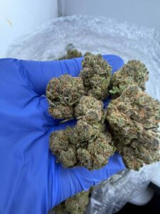 mochi gelatos strain
