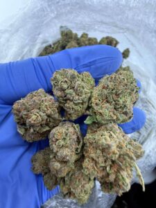 mochi gelatos strain