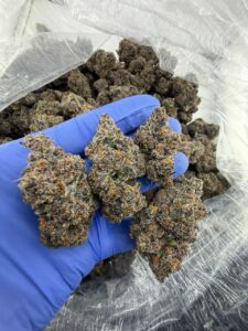 megatron strain