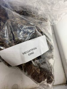 megatron strain