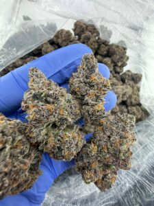 megatron strain