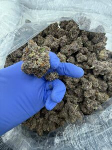 megatron strain