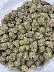 Jully Donut Indoors Strain jully donut indoors strain