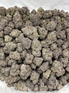 Applescotti Strain applescotti strain