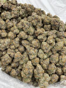 Area 41 Strain area 41 strain